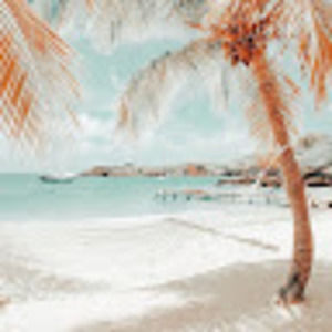 Meet your Posher, Burns